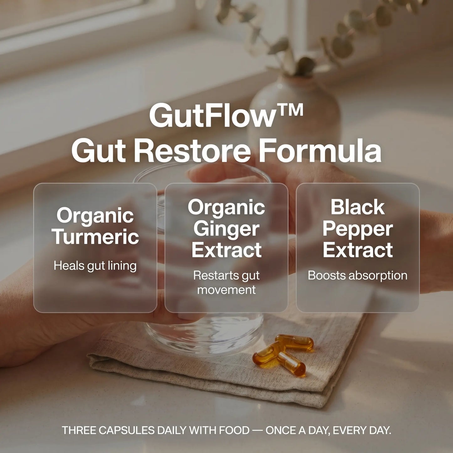 GutFlow™ — Reclaim Your Gut's Natural Cleaning Wave